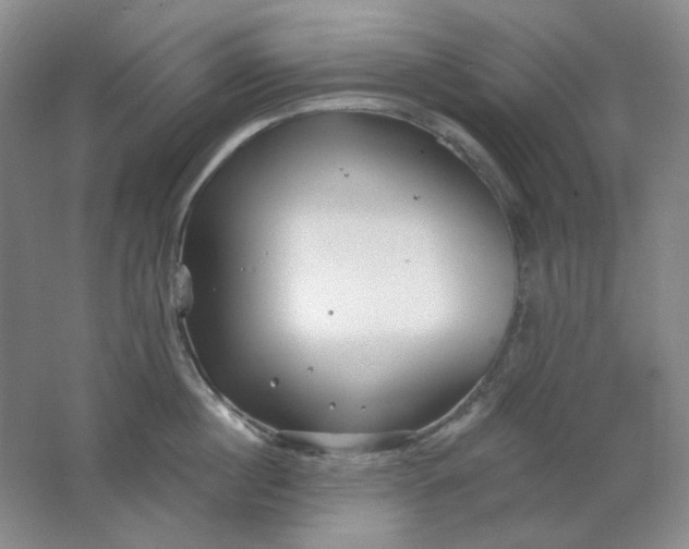 X0000062140860200512231503