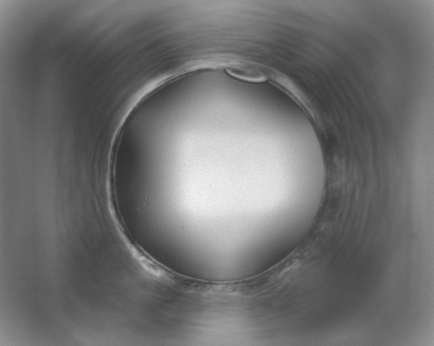 X0000062140861200512231503