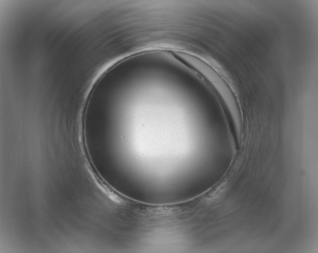 X0000062140862200512231503