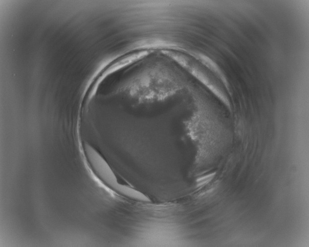 X0000062140863200512231503