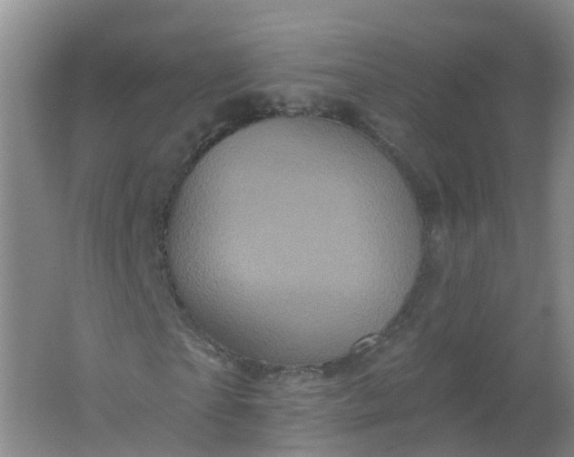 X0000062140865200512231502