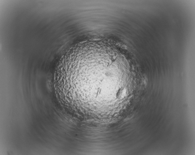 X0000062140867200512231502