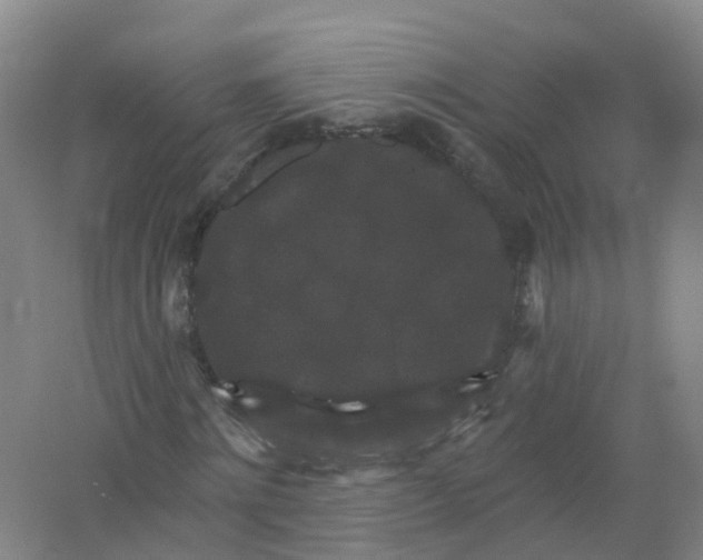 X0000062140868200512231502