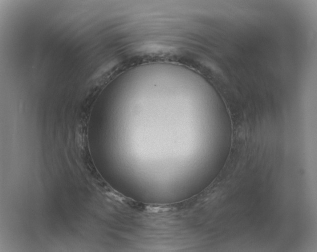 X0000062140869200512231502