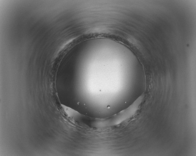 X0000062140872200512231502