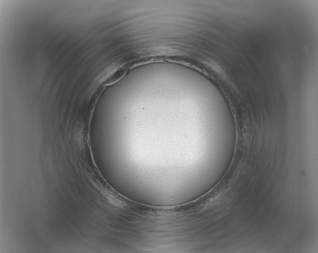 X0000062140873200512231502