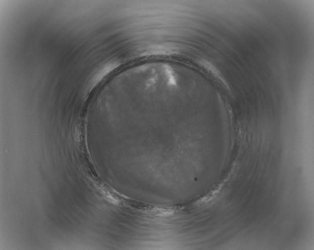 X0000062140874200512231502