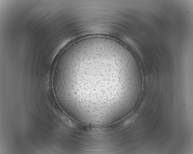 X0000062140875200512231502