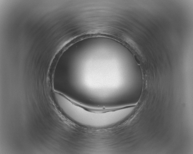 X0000062140876200512231502