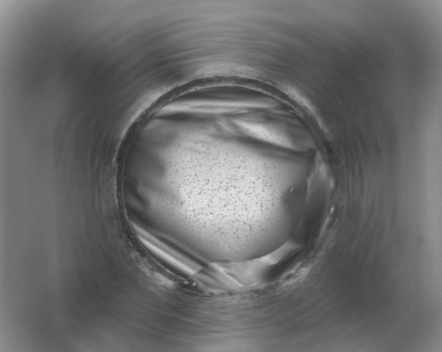 X0000062140877200512231502