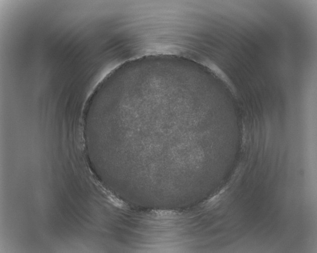 X0000062140878200512231502