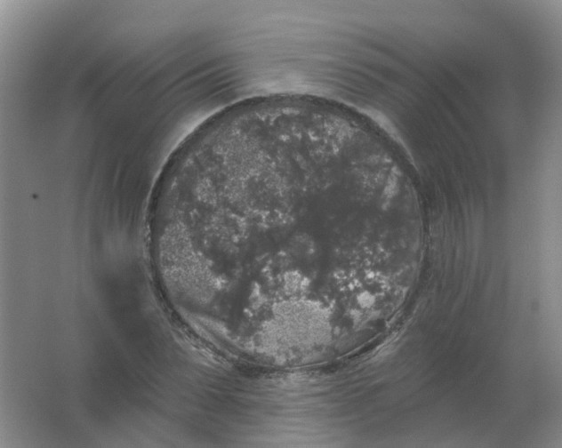 X0000062140879200512231502