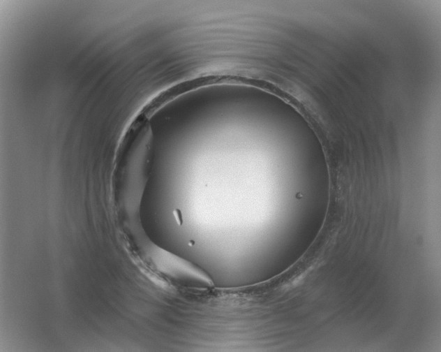 X0000062140880200512231502