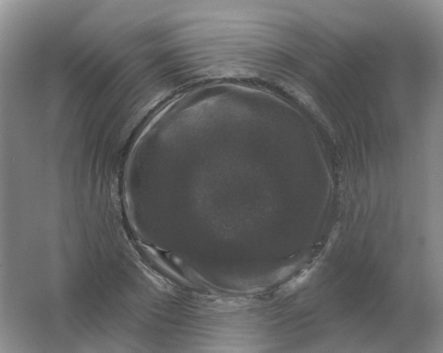 X0000062140881200512231502