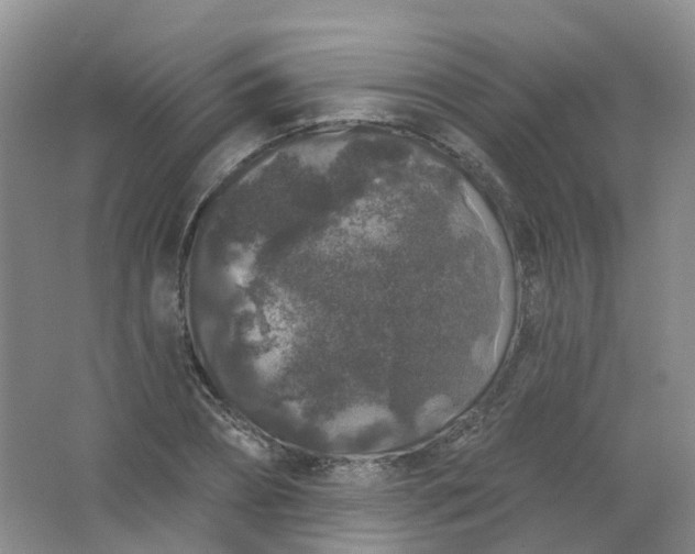 X0000062140882200512231502