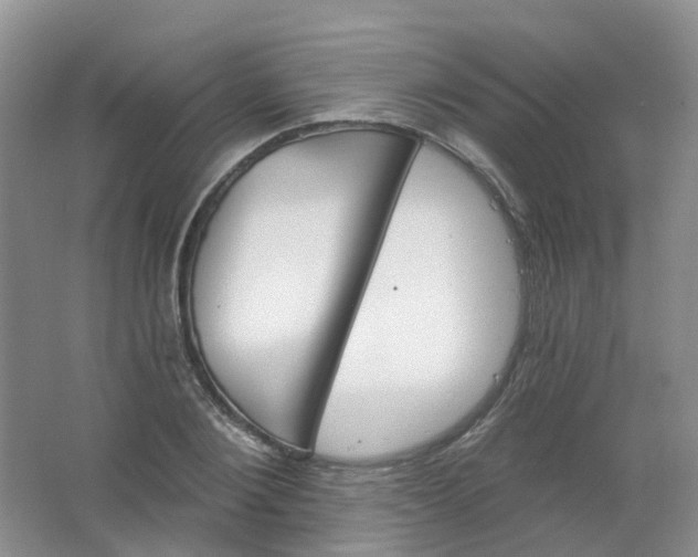 X0000062140884200512231502