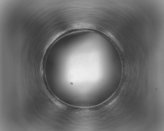 X0000062140885200512231502