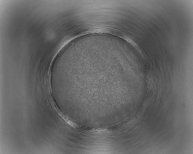 X0000062140886200512231502