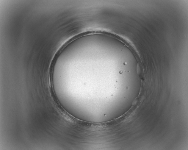 X0000062140887200512231502