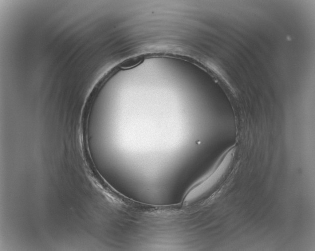 X0000062140888200512231502