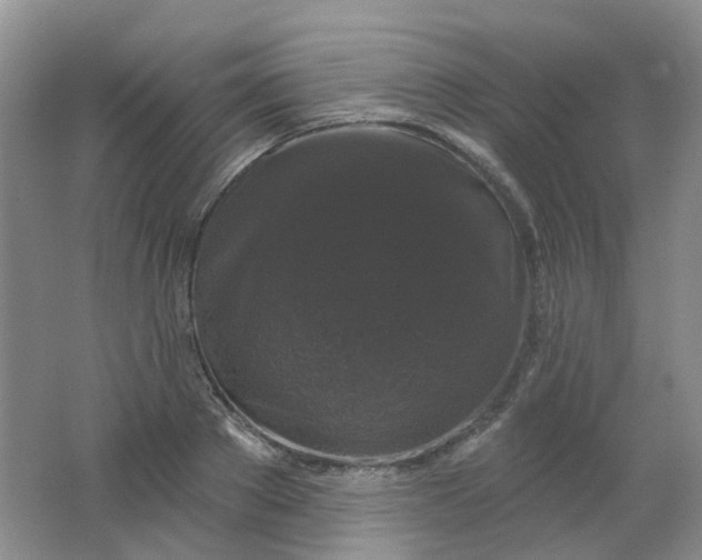 X0000062140889200512231502