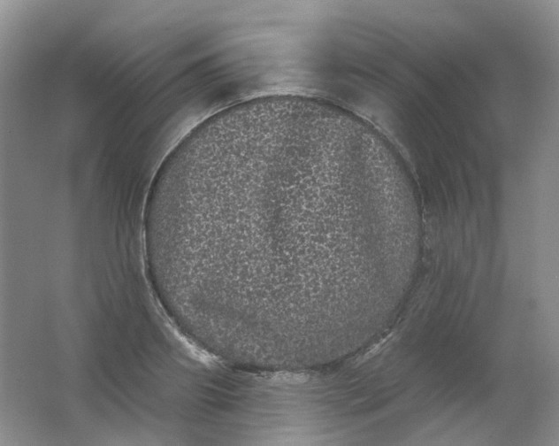 X0000062140890200512231502