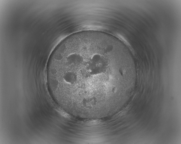 X0000062140891200512231502