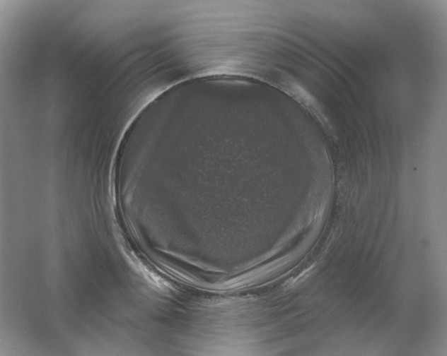 X0000062140892200512231502