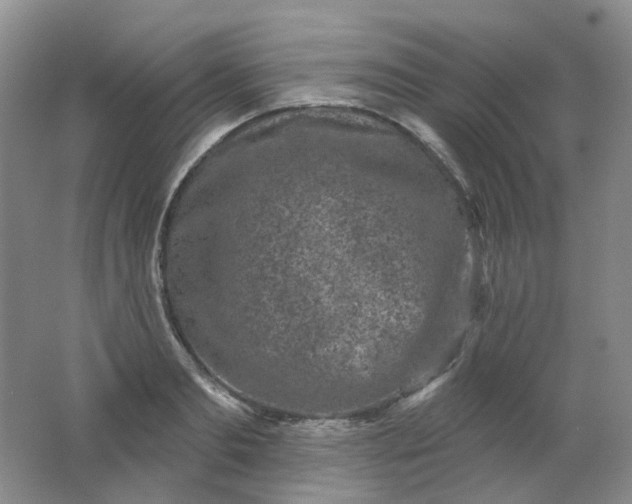 X0000062140893200512231502