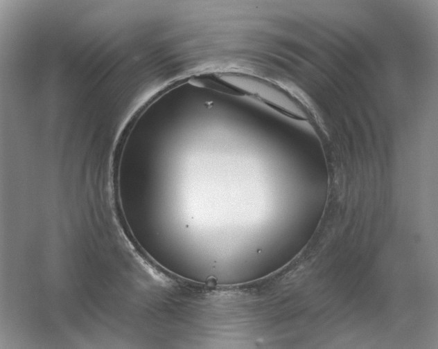 X0000062140894200512231502