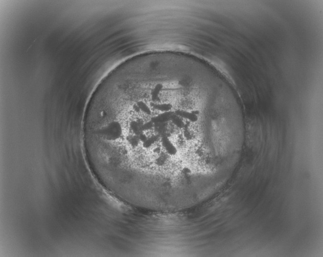 X0000062140895200512231502