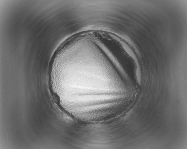 X0000062140896200512231502