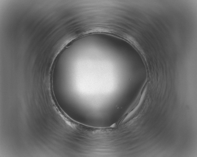 X0000062140898200512231502