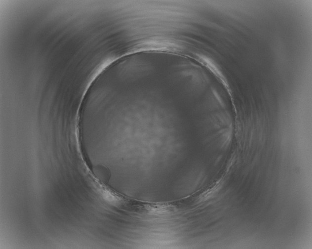 X0000062140899200512231502