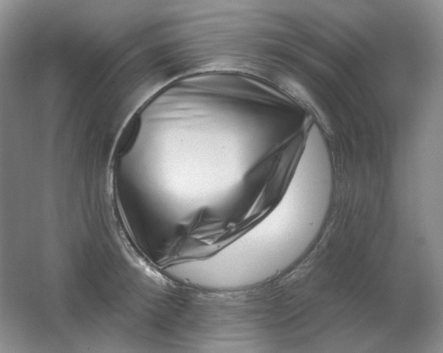 X0000062140900200512231502