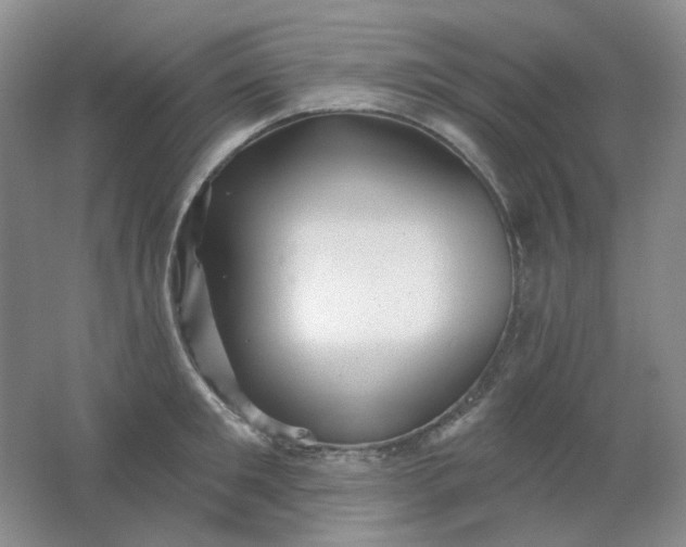 X0000062140901200512231502