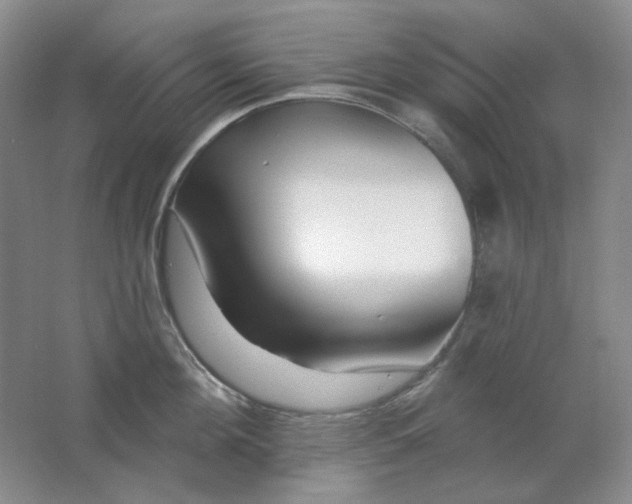 X0000062140908200512231501