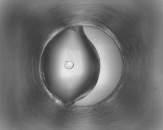 X0000062140909200512231501