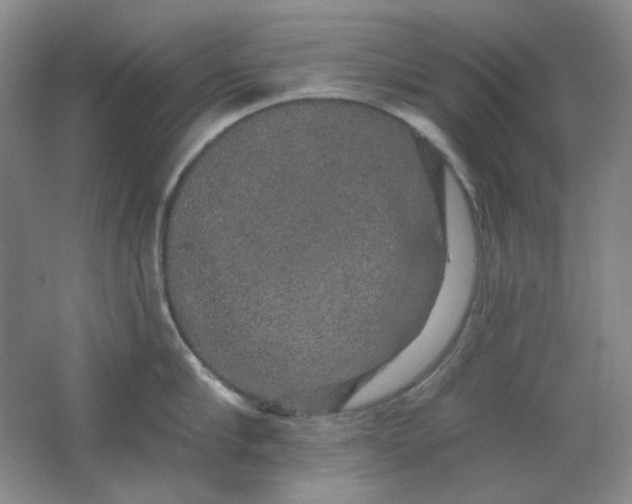 X0000062140910200512231501