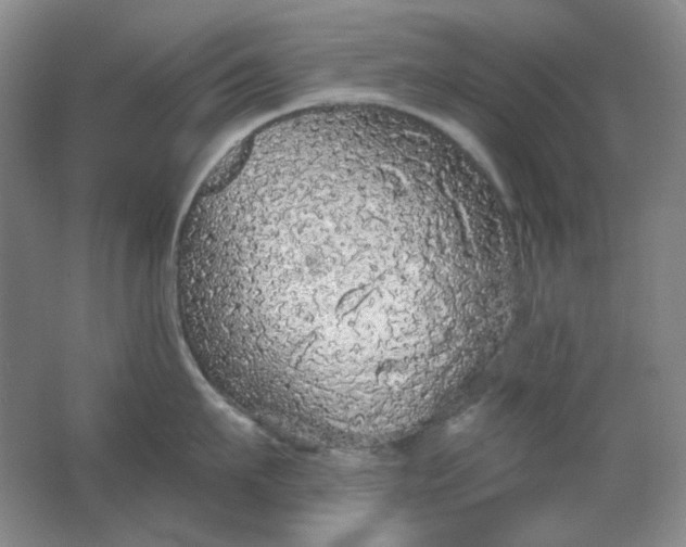 X0000062140911200512231501