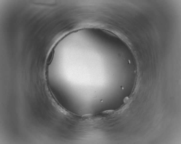 X0000062140912200512231501