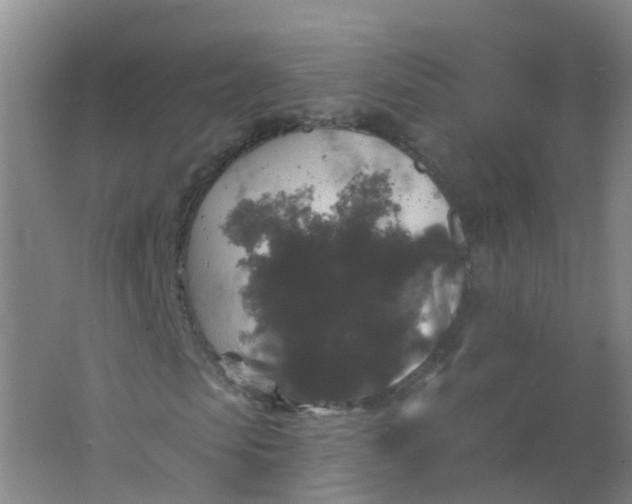 X0000062140913200512231501