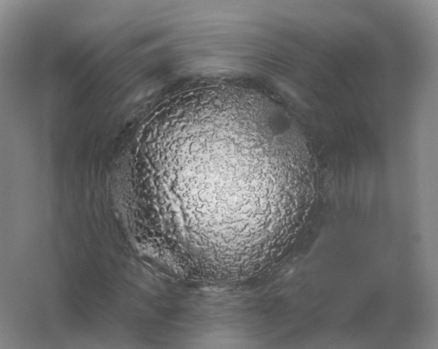 X0000062140917200512231501