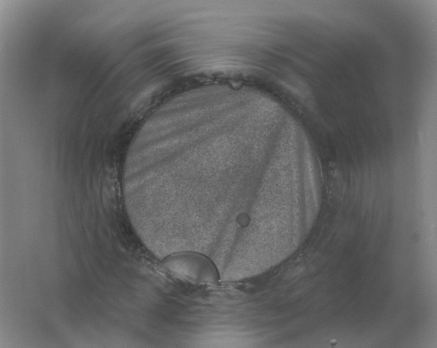 X0000062140918200512231501