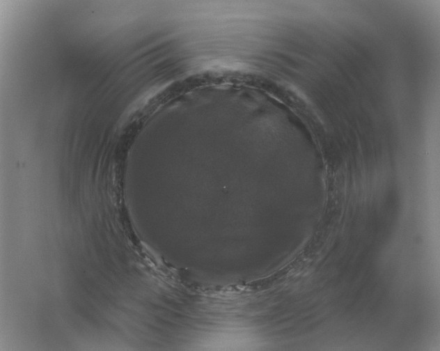 X0000062140919200512231501