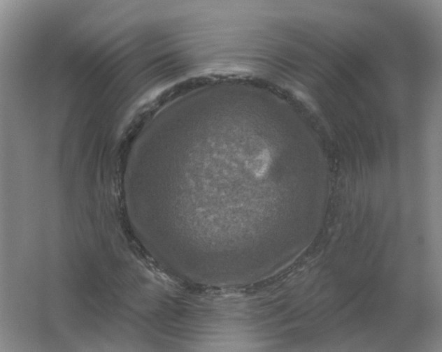 X0000062140920200512231501