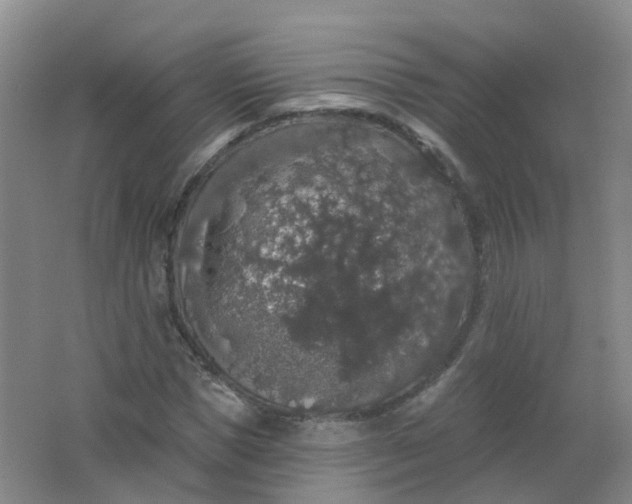 X0000062140921200512231501