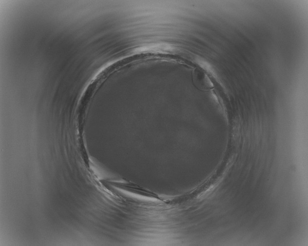 X0000062140923200512231501