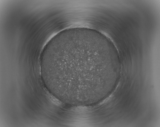 X0000062140925200512231501