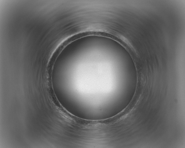 X0000062140926200512231501